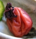Umeboshi (prunus mume)