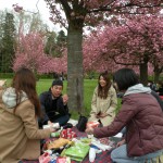 DSCN9656